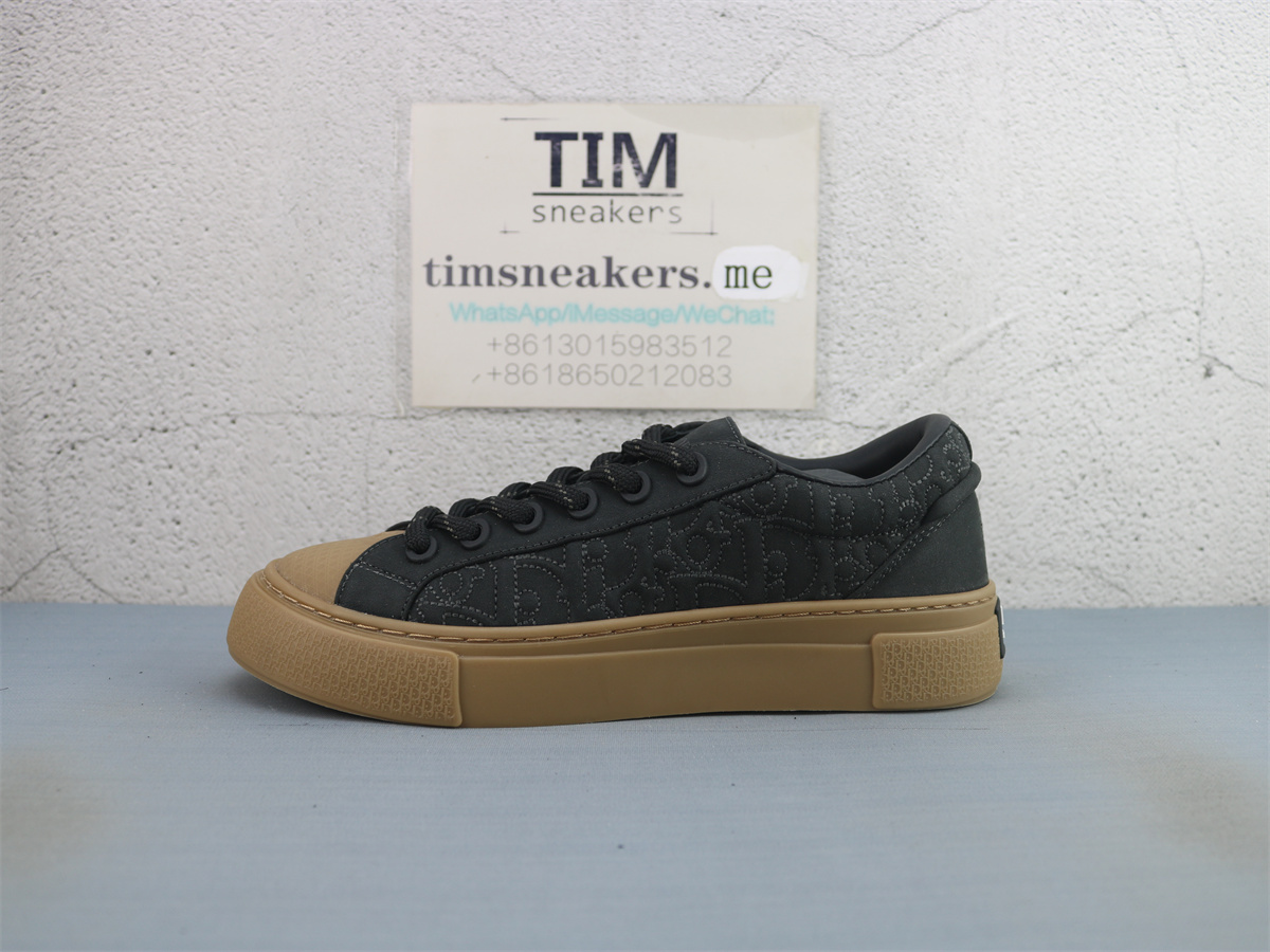 Stone Island X DIOR B33 Skateboard Shoes Men Low-Top Black